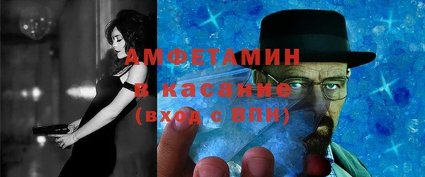 прущие грибы Каменногорск
