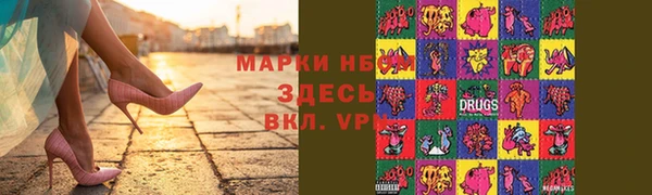 прущие грибы Каменногорск