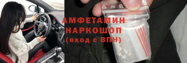 прущие грибы Каменногорск