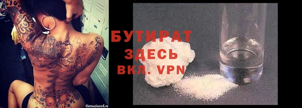 прущие грибы Каменногорск