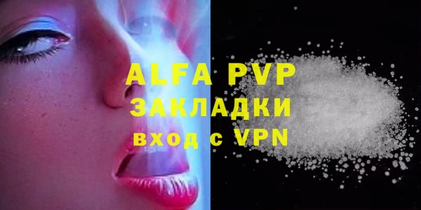 прущие грибы Каменногорск