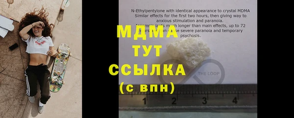 прущие грибы Каменногорск