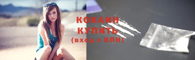 прущие грибы Каменногорск