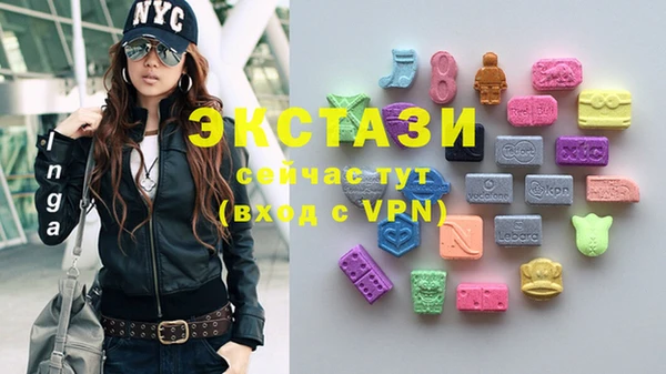 прущие грибы Каменногорск