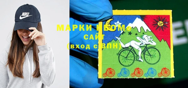 прущие грибы Каменногорск