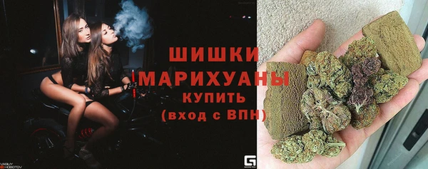 прущие грибы Каменногорск
