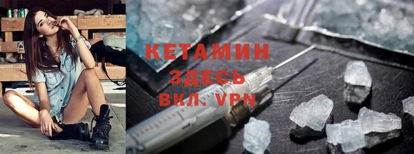 прущие грибы Каменногорск