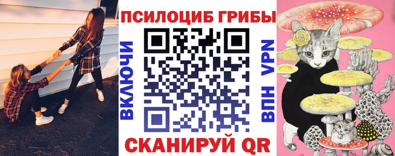 Галлюциногенные грибы Cubensis  Купить где  Ишимбай 